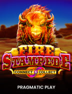 วิธีเล่นและเข้า ทาง เข้า xo joker ให้ปังสุดๆ!